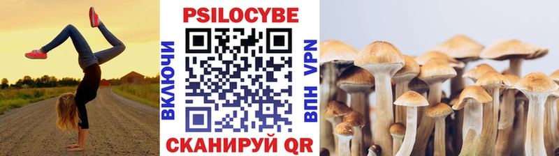 Галлюциногенные грибы Psilocybe  Томари 